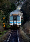 954D 後追い H.jpg