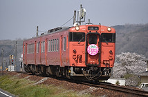 DSC_5242.jpg