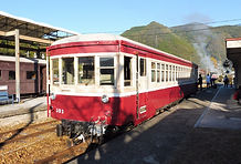 P1010834.jpg