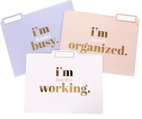Mind File Folder Graphique Designer “Make Things Happen” File Folders | Set of 9 (3 ...