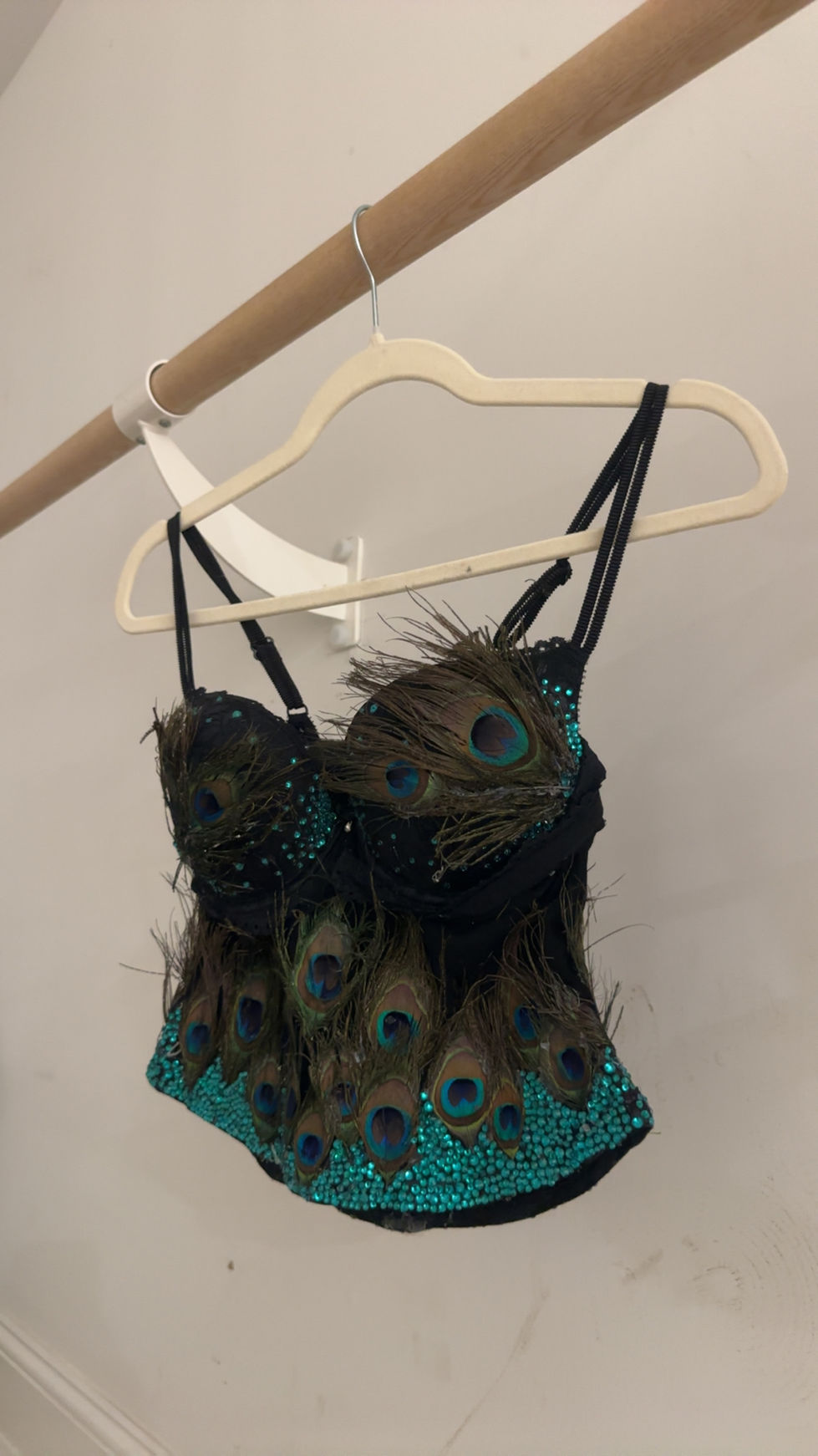 Peacock Bustier 3
