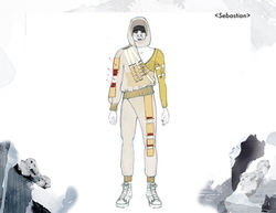 A Global Dust Storm in Mars