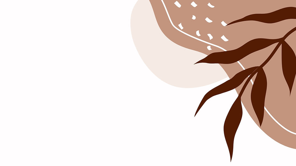 Update #20 - 2/24/25