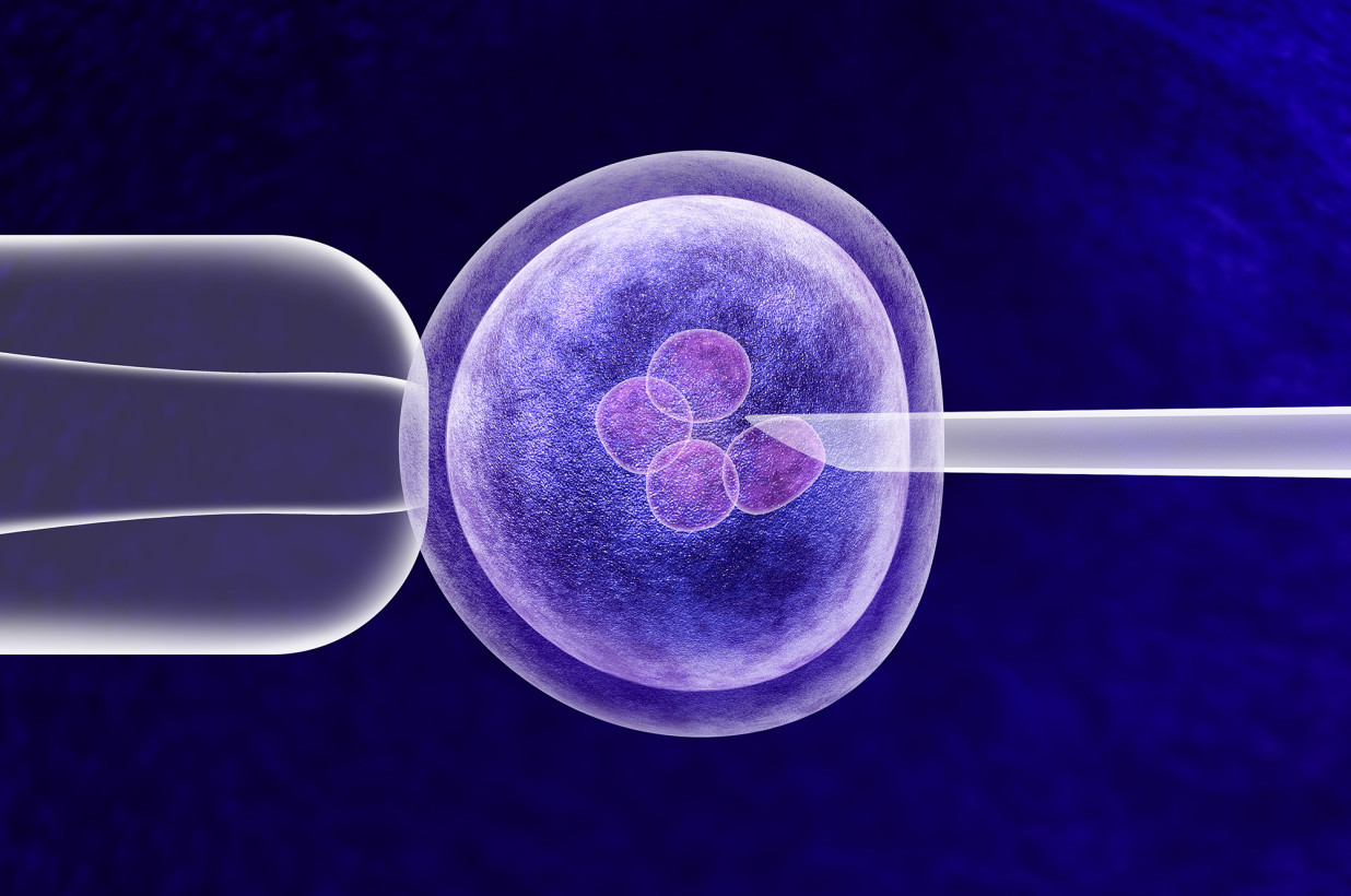 crispr-ivf