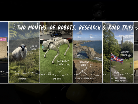 Two Months at Bristol Robotics Laboratory: Robots, Exoskeletons, and a Lot of Sheep