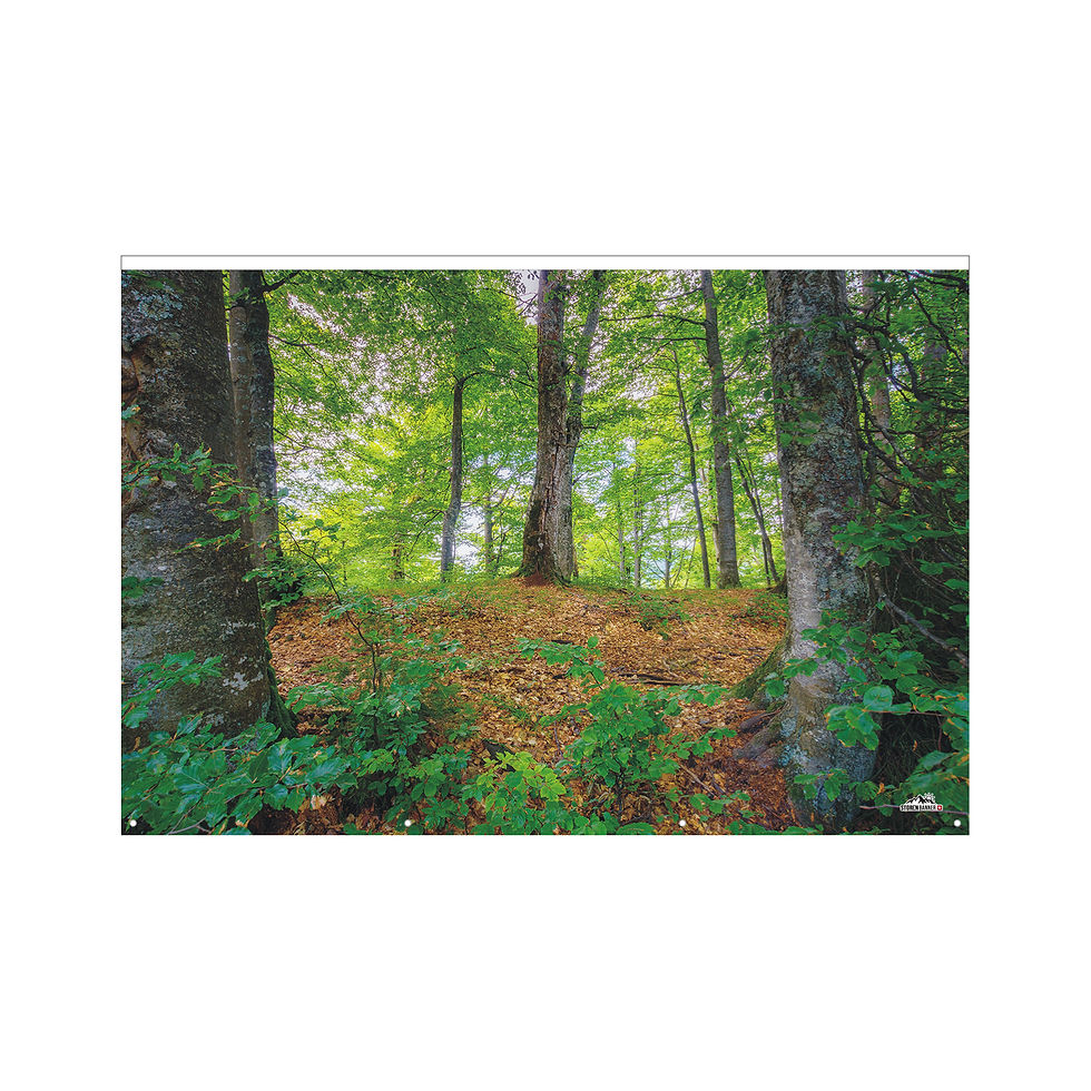 Miniaturbild: Storen Vorderwand mit Keder 5mm