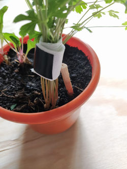 COMP_S_TV1_5Detalle cerca.jpg