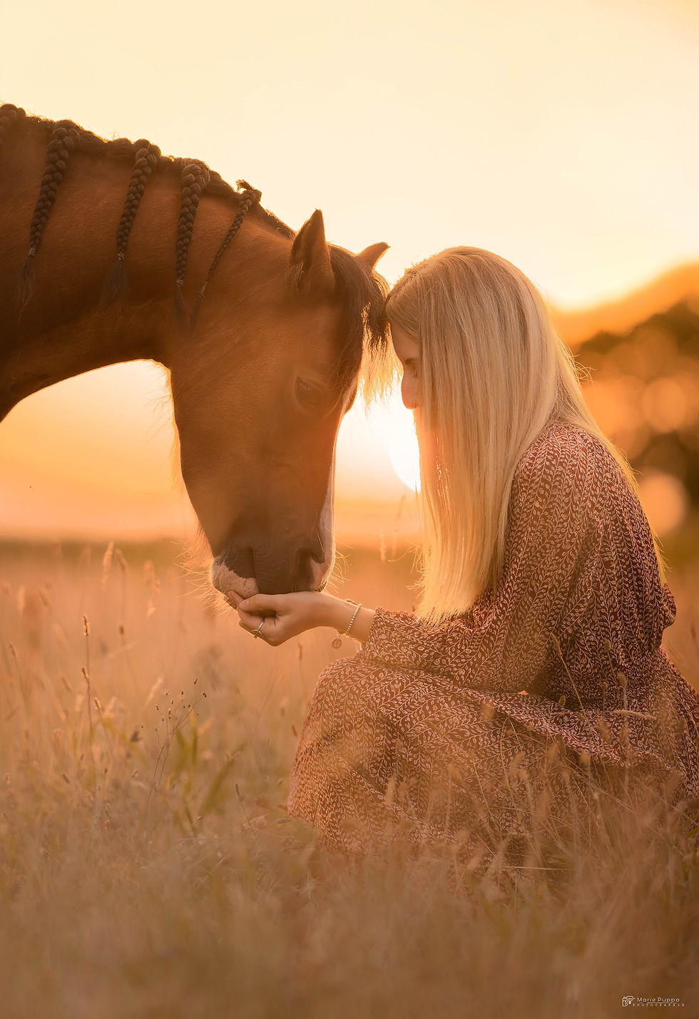 CSI_4613-Avec accentuation-Bruit-ModifierUrkhan-2.jpg