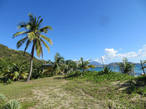 St. Kitts & Nevis