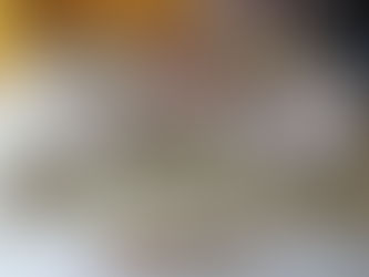 Projekt „Nordhusia“: Die Unterwasserstadt im Sundhäuser See