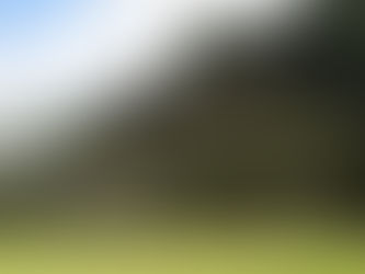 Belize: Das Herz Mittelamerikas