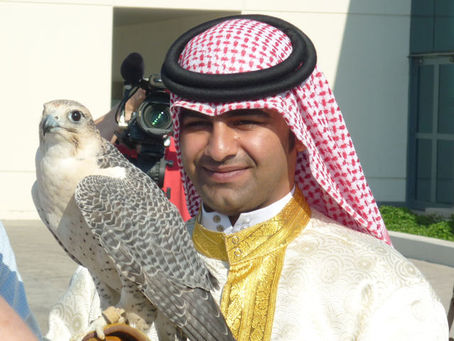 Tauchen in Bahrain