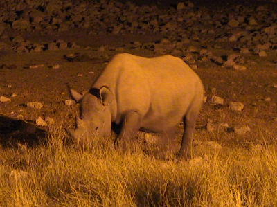 Reisebericht Namibia