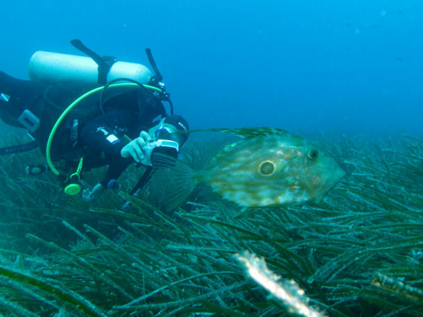 Location: Cap Formentor, Mallorca, Spanien (Foto: Roger Blum)
