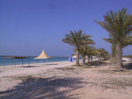Tauchen in Abu Dhabi