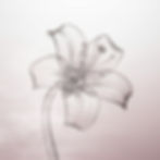 weavy-Topaz Image Upscale-2025-11-27 at 17.24_edited.jpg