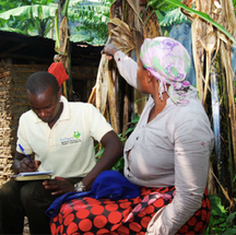 The Power of the $2 Tippy Tap