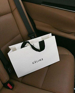 Celine shopping bag resting on a brown leather seat.
