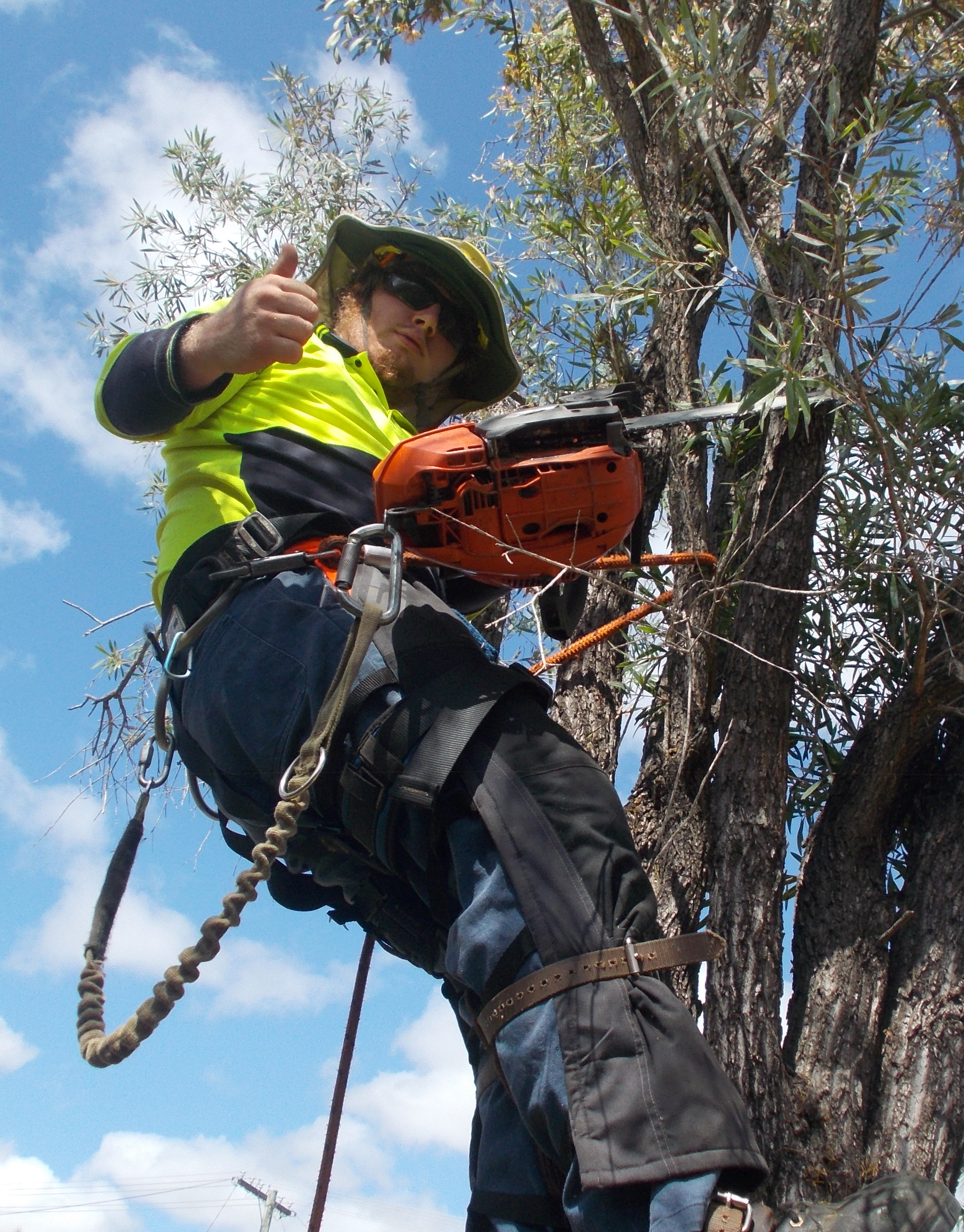jay s tree service 240 0860 jay tree and garden services home jay garden services rockhampton jay s tree service 240 0860 jay tree and garden services home jay garden services rockhampton