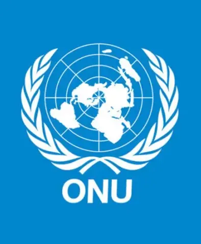 ONU-e1733864407581.webp