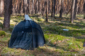 DSC_4153.jpg