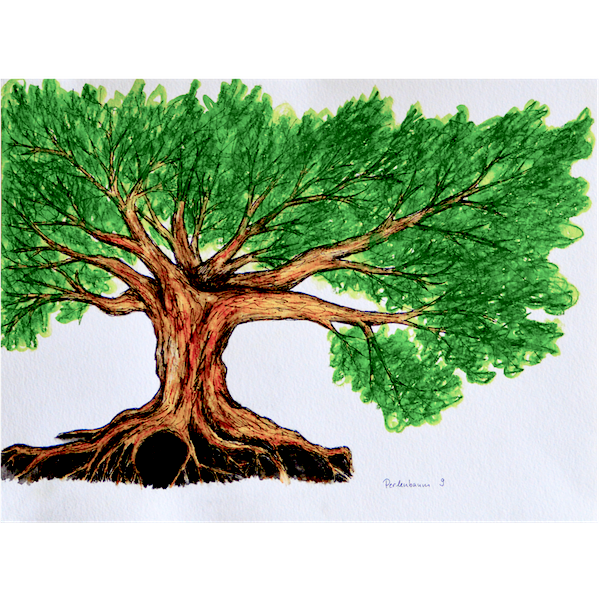 Miniaturbild: Perlenbaumbilder - DOWNLOAD