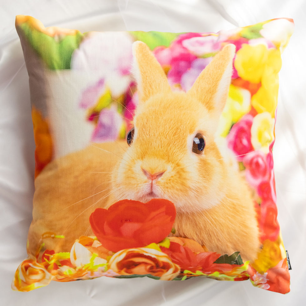 サムネイル： オリジナルクッションカバー（45cm）