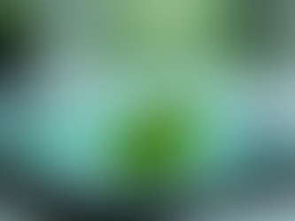 ESOS Action Plan Update – Don’t Miss the 5th December 2025 Deadline!