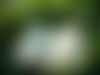 ESOS Phase 4 Checklist