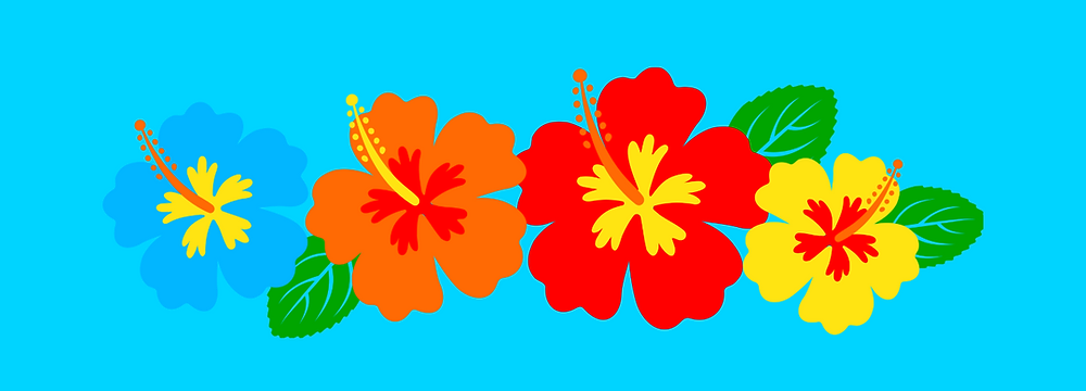 A graphic representing VolleyJuniors Summer Camps Hawaiian Week.  A few Hawaiian flowers in various colors.