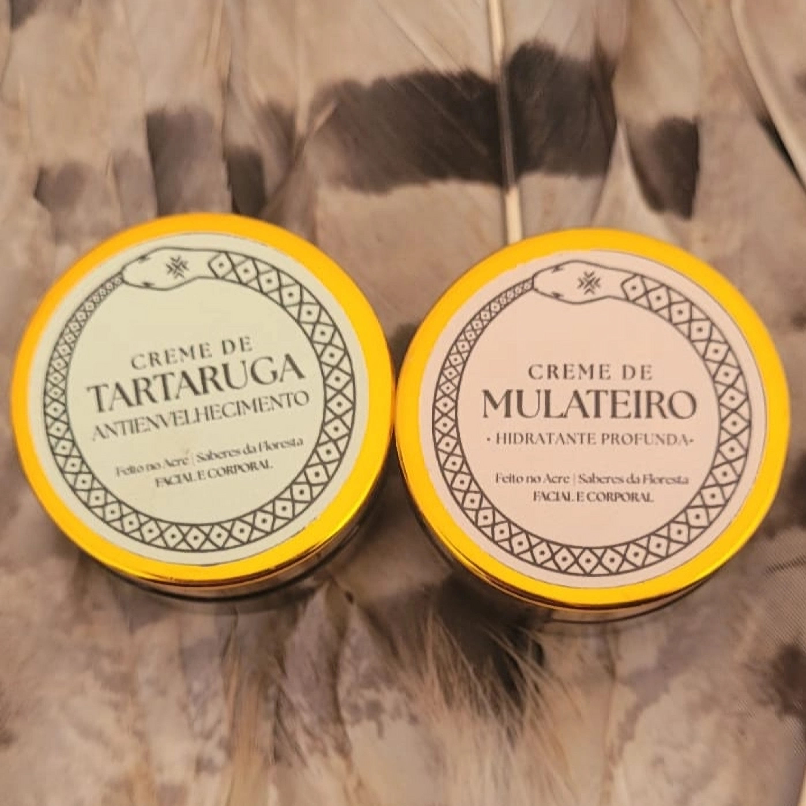 Kit 2 Cremes Amazônicos: Tartaruga + Mulateiro – Cuidado Natural e Completo