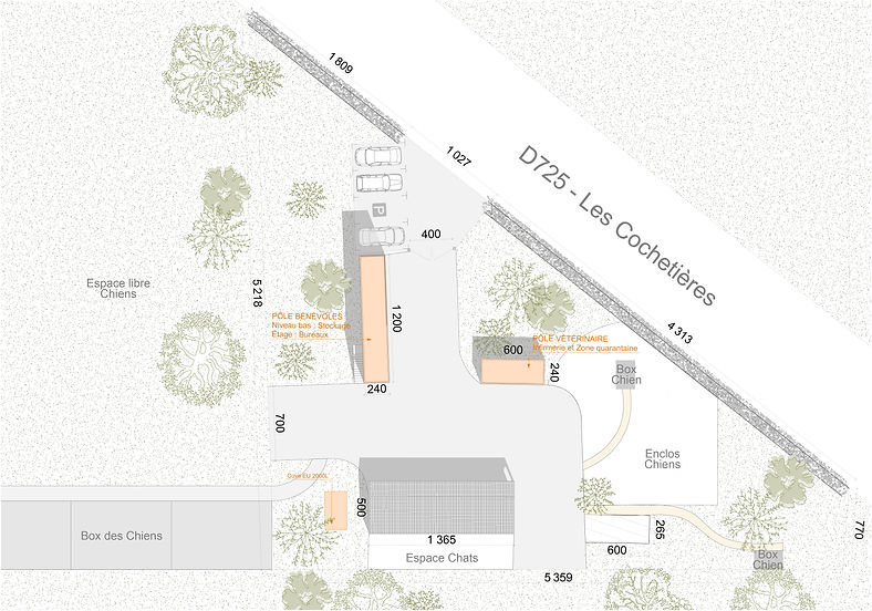 V finale pl masse.jpg