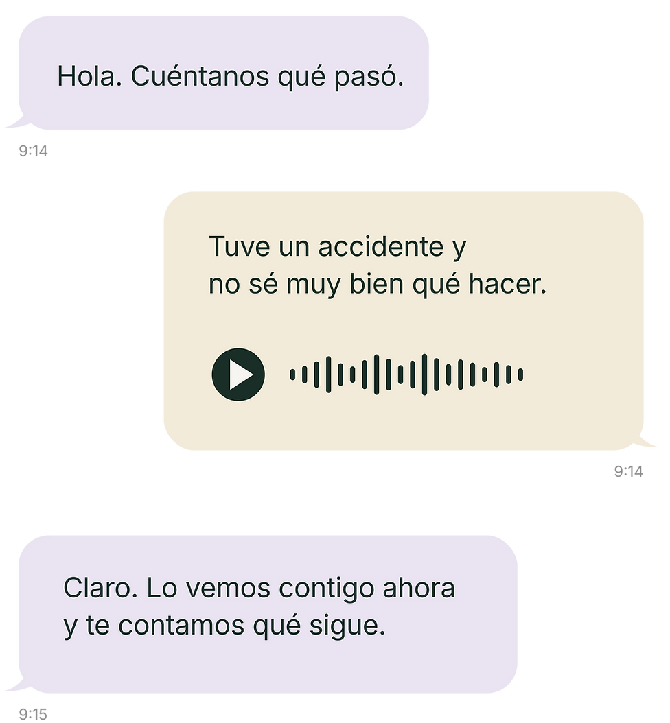 jms_chat_compacto.png