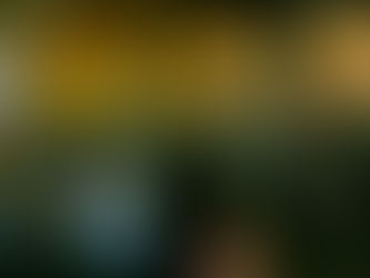 Field Notes Vol. 6 no 3: Coming up for air...and remembering our purpose