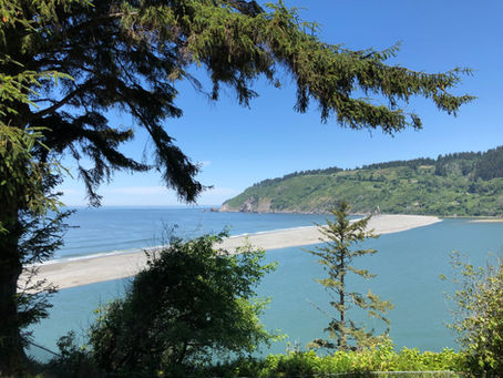 Day Two of Jeff's Old Growth Forest Expedition: Redwood State and National Parks