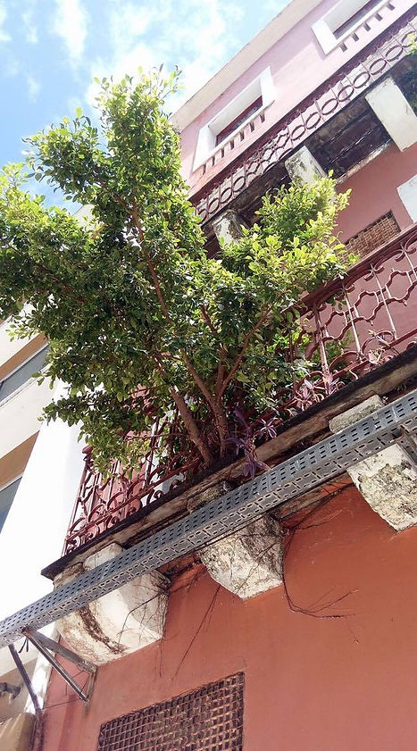 Concreto verde