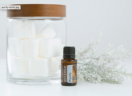 Screen Shot 2019-04-11 at 10.06.22 AM.pn