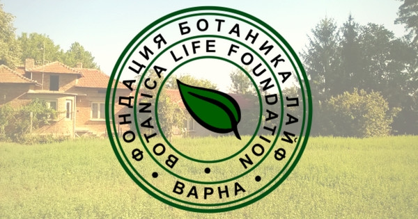 Публикации | botanica