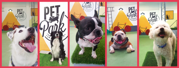 petparklaguarderia2.png