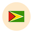 ICON-GUYANA.png