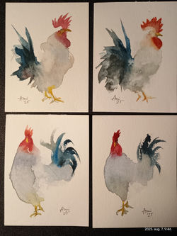 528466774_10162800131369890_424132162518083795_n