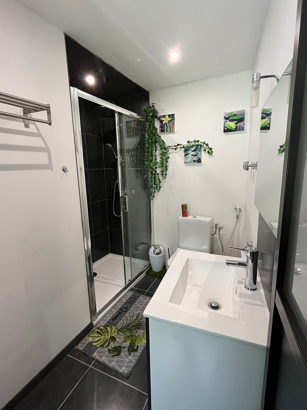 salle d'eau et WC