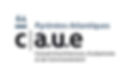 Logo-CAUE64.jpeg