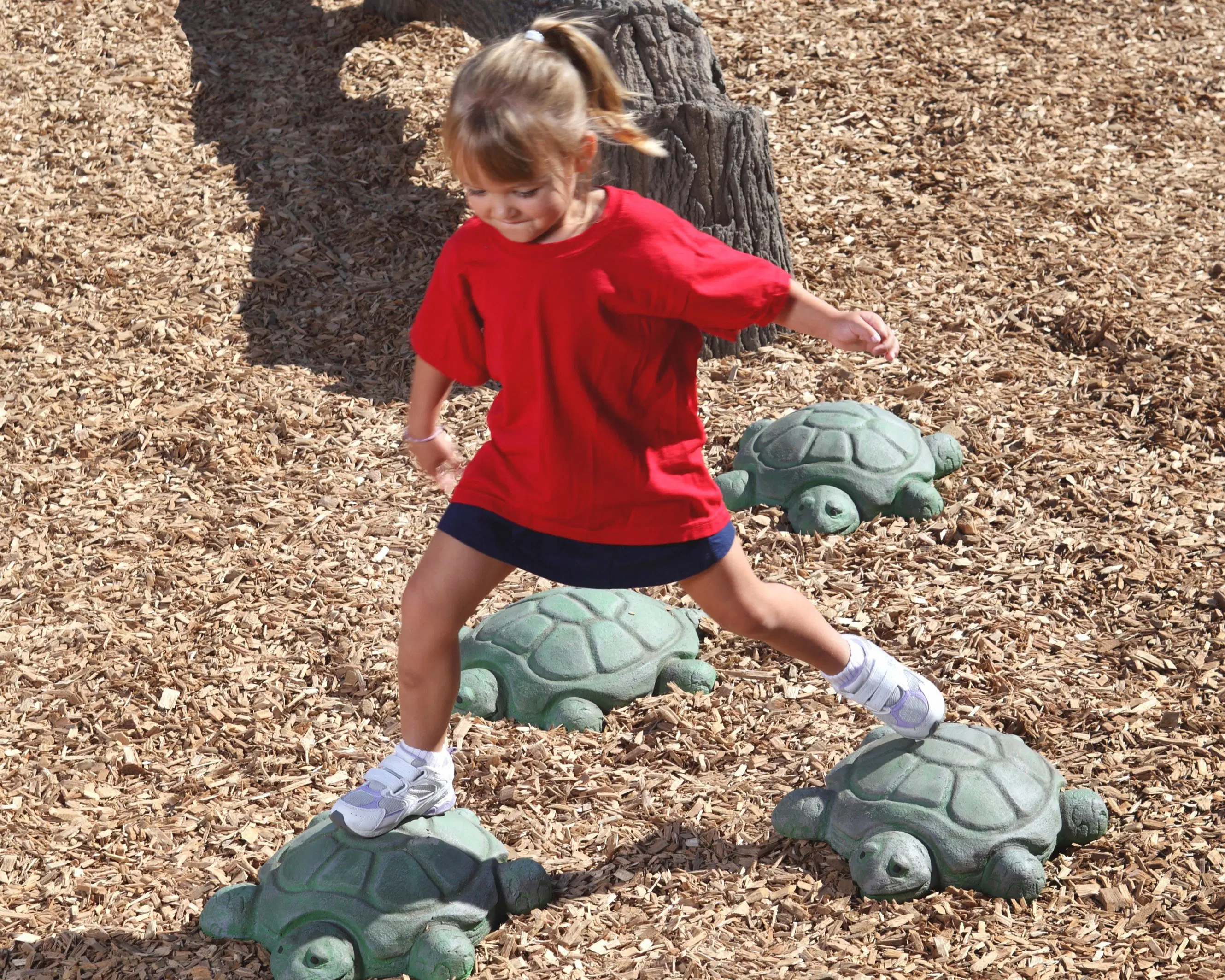 NatureROCKS Stepping Turtles
