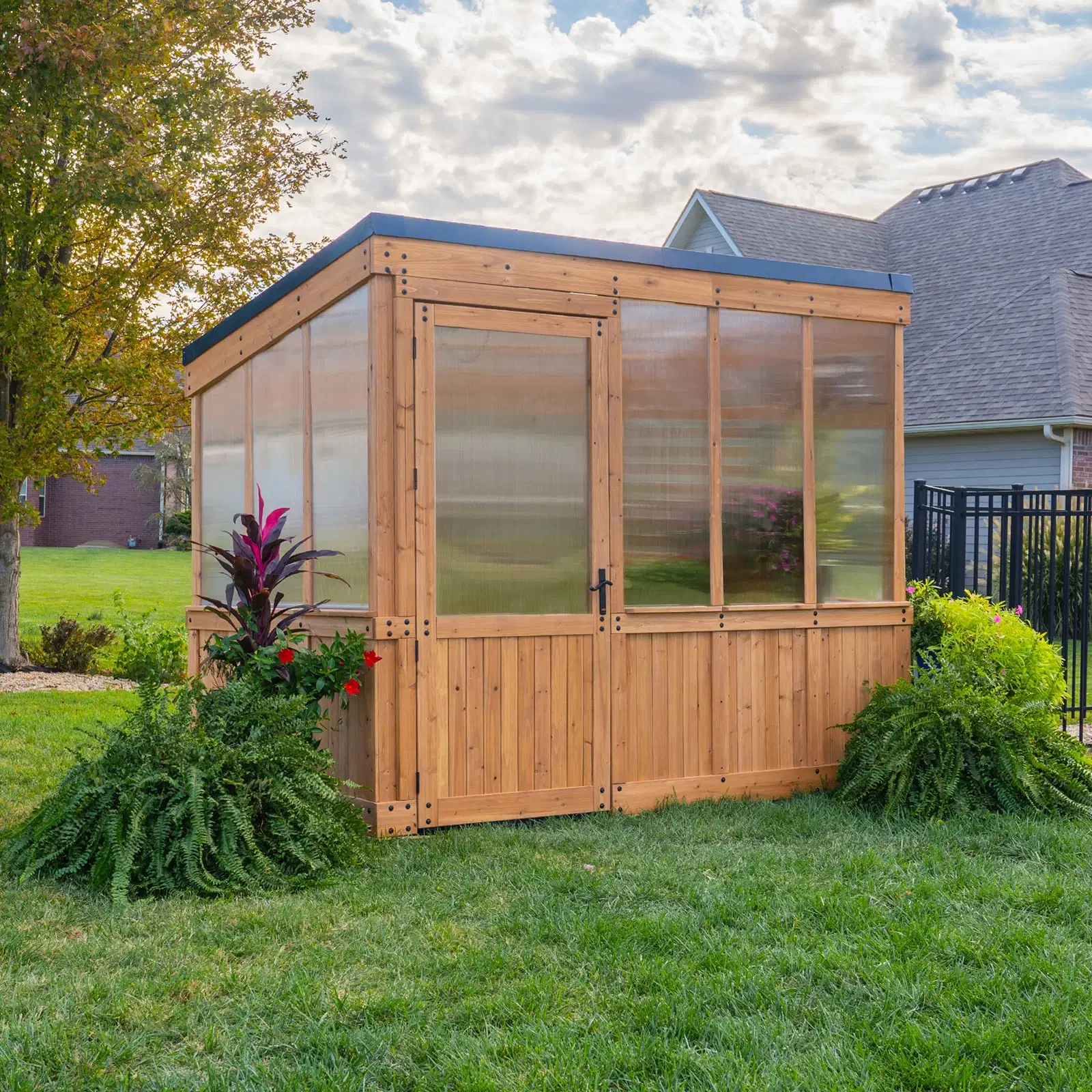 9X6 WILLOW GREENHOUSE