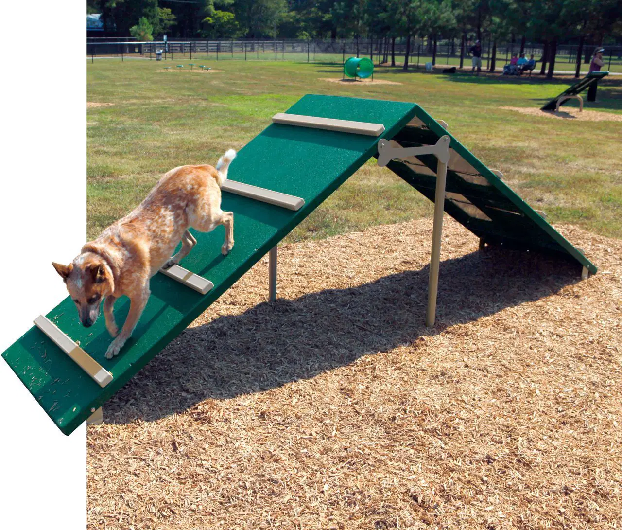 BarkPark King of the Hill