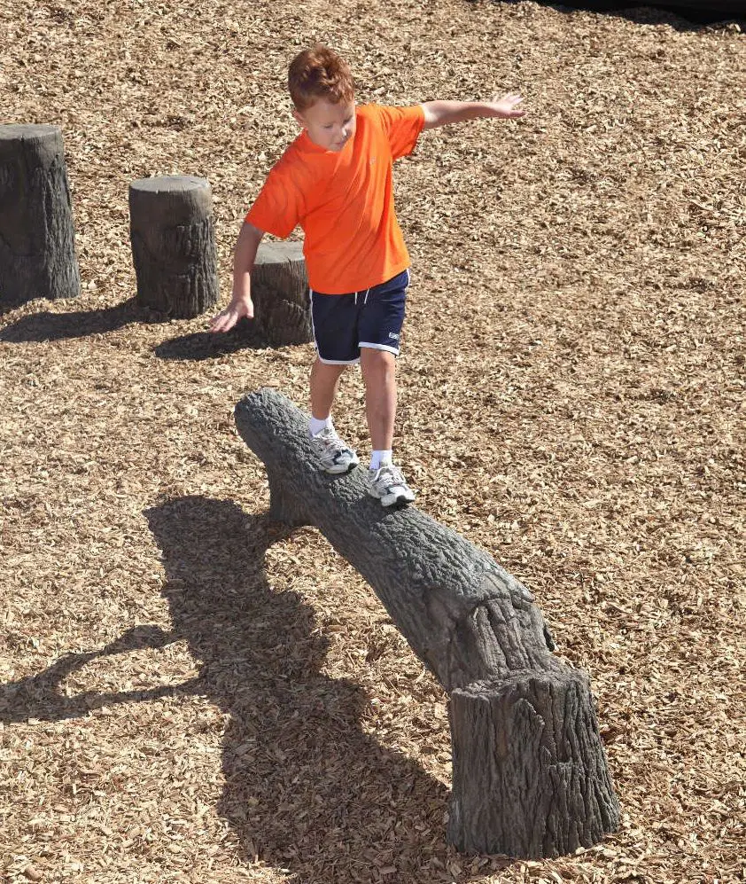 NatureROCKS 8-foot Fallen Tree Balance Beam