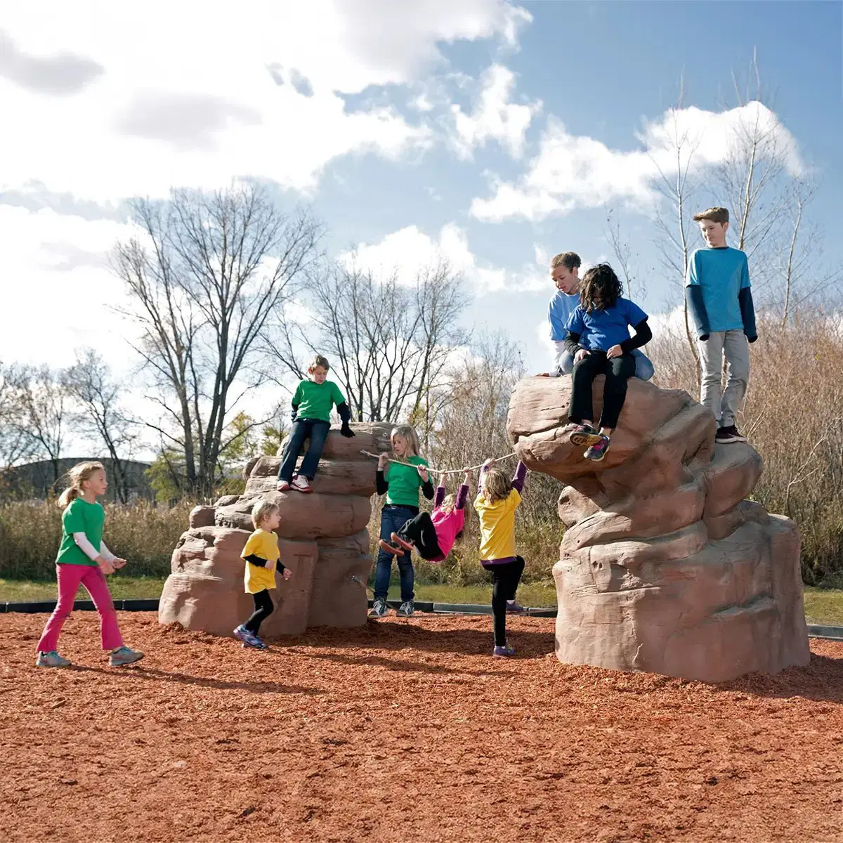 NatureROCKS The Rockies Netted Boulders