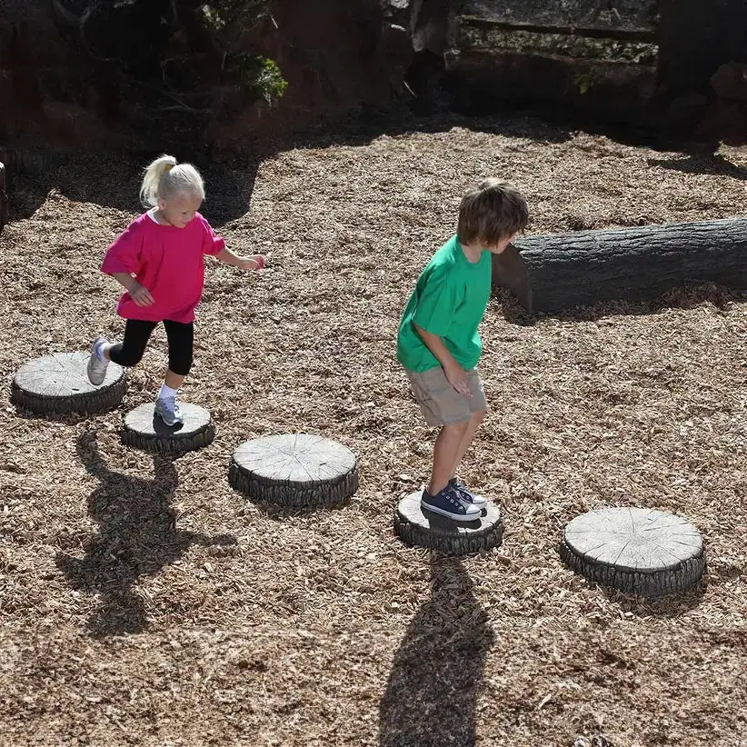 NatureROCKS Tree Slices Nature Rocks (set of 5)
