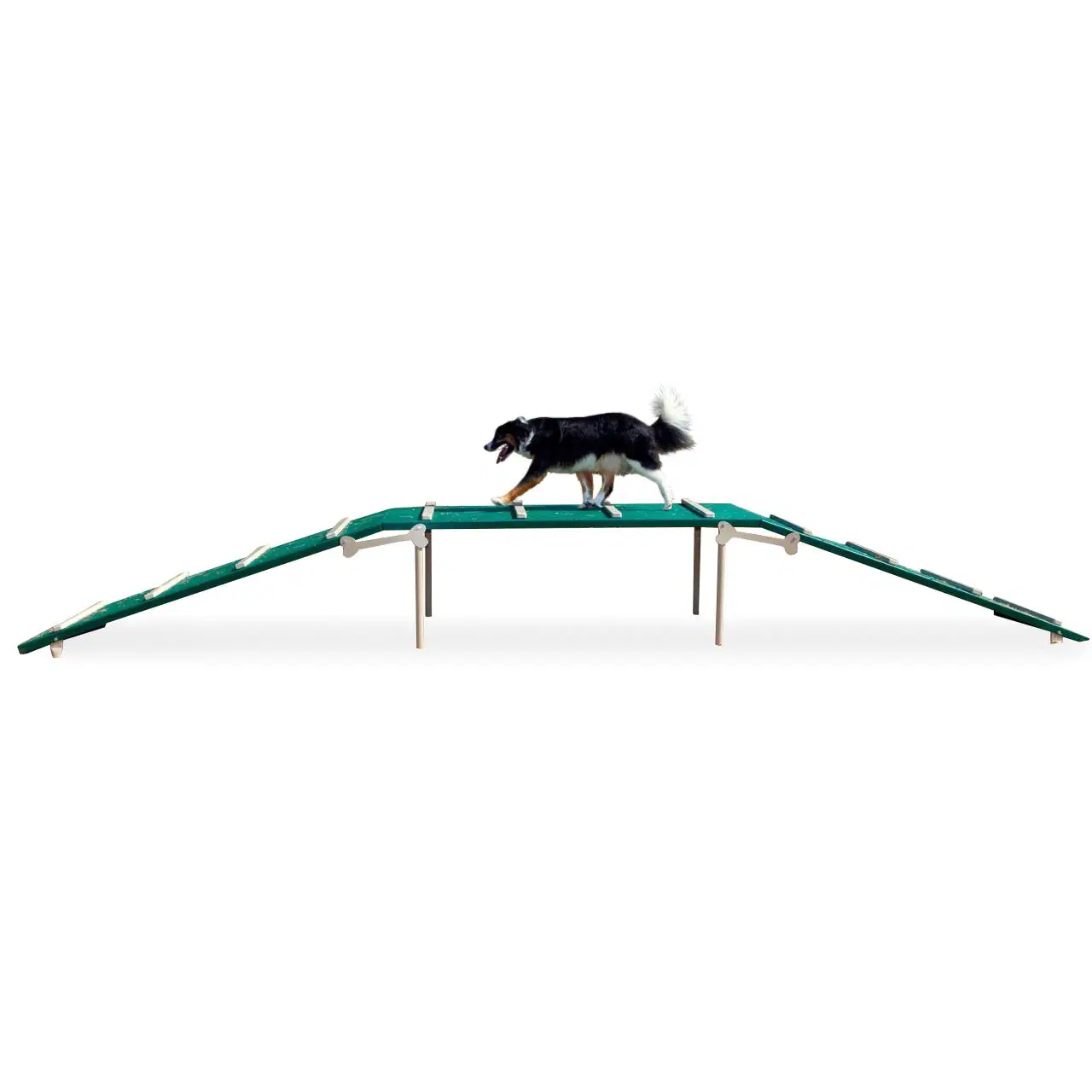 BarkPark Dog Walk